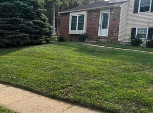 Dan T.'s Lawn Care service result