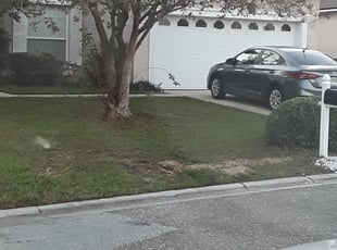 Bush Trimming by Will Rich for Emily F. in Jacksonville, FL