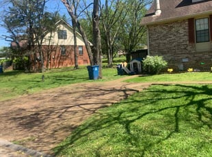Edgar A.'s Lawn Mowing service result