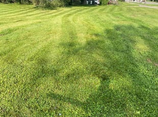Takashi M.'s Lawn Care service result