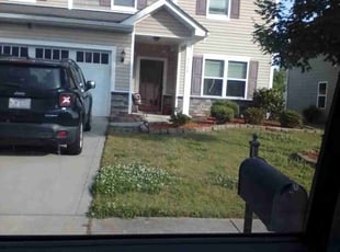 Bush Trimming by Thomas Perry for Rebecca C. in Charlotte, NC