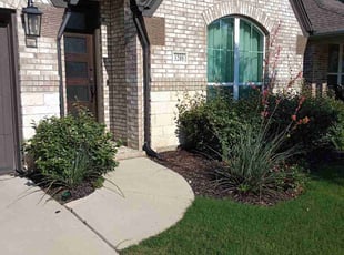 Kimberly M.'s Yard Cutting service result
