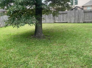 Brian V.'s Lawn Service service result