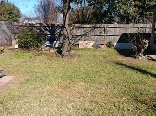 Leaf Removal by JackieAnn Talley for Anita F. in San Antonio, TX