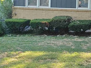 Bush Trimming by Phillip Lopez for Takelah K. in Raytown, MO