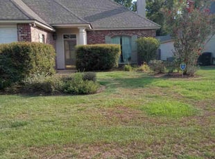 Bush Trimming by Christopher Webb for Yoon Ha L. in Baton Rouge, LA