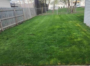 Michelle O.'s Yard Cutting service result