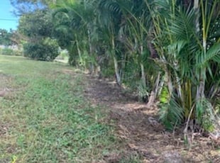 Landscaping by Kuisman Mazariegos for Kingsman D. in Port St. Lucie, FL