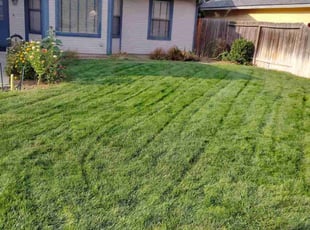 Pamela W.'s Grass Cutting service result