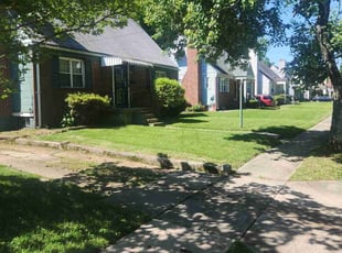 Allegra F.'s Lawn Care service result