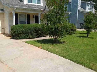 Bush Trimming by Michael Leslie for Shavonna M. in Stockbridge, GA