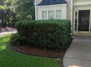 Bush Trimming by Elijah Knight for Jamilla A. in Marietta, GA