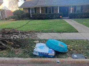 Kiyisha A.'s Lawn Care service result