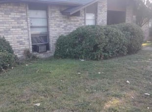 Bush Trimming by Brian Orozco for Jonathan G. in The Colony, TX