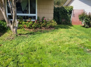 Bush Trimming by Joshua Muehe for Emmanuel R. in Sacramento, CA