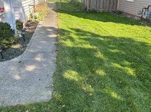 Christina C.'s Yard Cutting service result