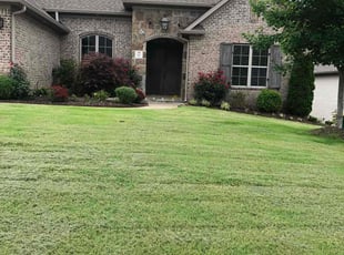 TELISHA B.'s Lawn Care service result