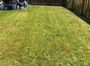 Mike M.'s Lawn Mowing Service service result
