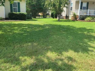 Sam G.'s Lawn Mowing service result
