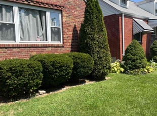 Amber A.'s Grass Cutting service result
