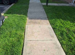 Anecia P.'s Lawn Care service result