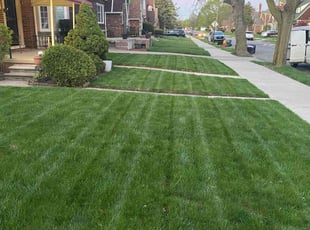 Rebecca M.'s Grass Cutting service result