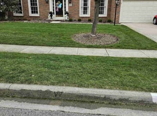Abdur R.'s Lawn Care service result