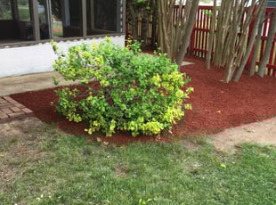 Landscaping by Norman Blanchard for Adrienne G. in Fort Washington, MD