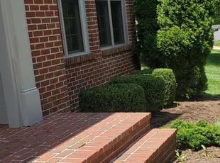 Bush Trimming by Rose Valle for Liban J. in Vienna, VA