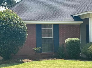 Bush Trimming by William Caldwell for Brandon M. in Brandon, MS