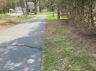 Leaf Removal by Nathanael Flaugher for Martine B. in Plainfield charter Township, MI