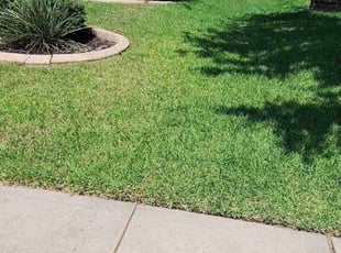 David H.'s Lawn Maintenance service result