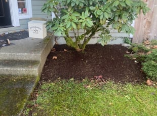 Bush Trimming by Jaelonie Ayres for Jake B. in Seattle, WA