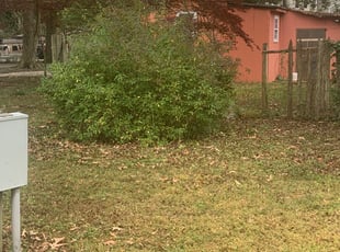 Bush Trimming by Danielle Patterson for Cathryn M. in Virginia Beach, VA