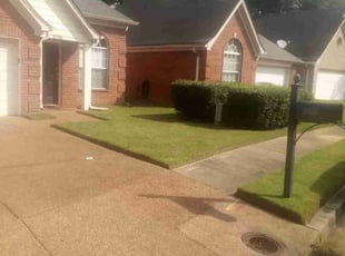 Elaine R.'s Lawn Care service result
