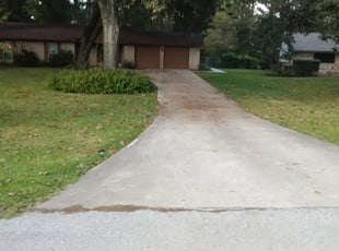 Bush Trimming by Linda Jones for Stephen W. in Spring, TX