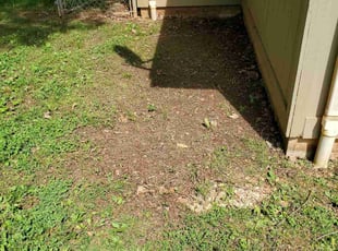 Cleanups by David Johnson for Sandra S. in Springfield, MO