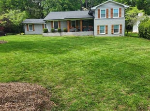 Kelly P.'s Yard Cutting service result