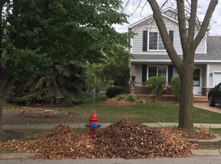 Leaf Removal by Phillip Kukla for Andreas K. in Gurnee, IL