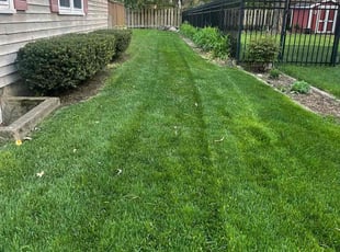 Amrit S.'s Lawn Service service result