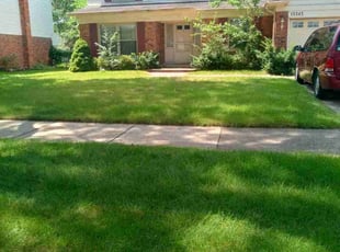 Peggy S.'s Lawn Service service result