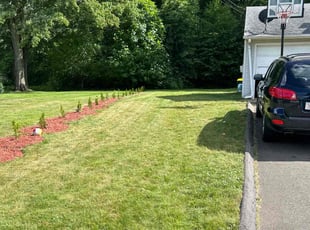 Evelyn C.'s Lawn Service service result