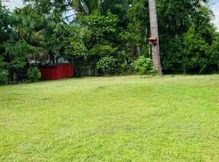 Linda S.'s Grass Cutting service result