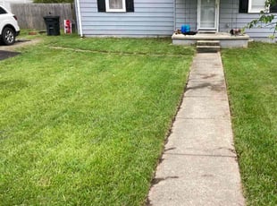 Lubonski L.'s Lawn Service service result