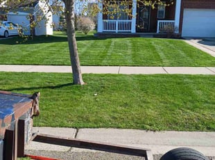 Carolynn N.'s Lawn Service service result