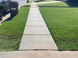 Rodrigo D.'s Yard Cutting service result
