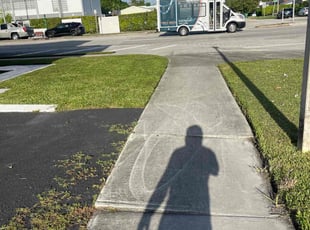 Jean S.'s Lawn Maintenance service result