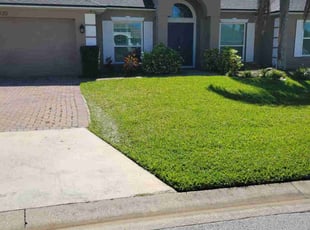 Scarlett M.'s Lawn Mowing service result