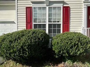 Bush Trimming by David James for Jesse S. in Chesterfield, VA