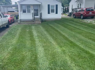 Randy C.'s Lawn Service service result